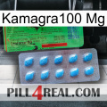 Kamagra100 Mg new03